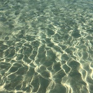 Meet your Posher, Falon